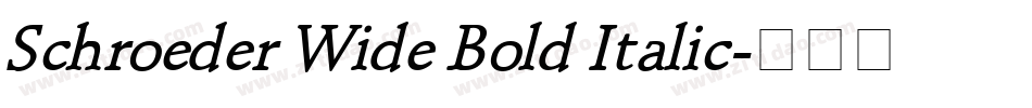 Schroeder Wide Bold Italic字体转换